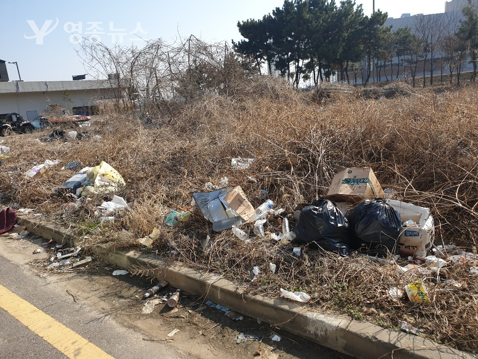 영종하늘도시, 상가주택단지, 버려진 쓰레기들