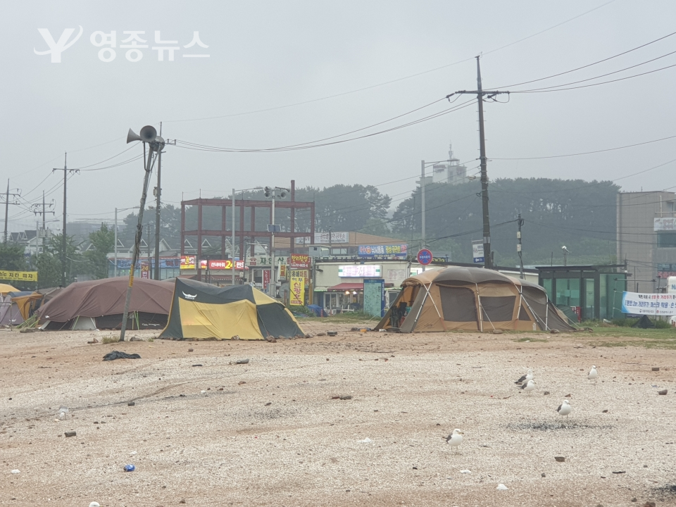 산림청 토지로 알려져 있는 선녀바위해변에 즐비한 텐트들, 이날 비바람이 많이 불고 있지만 텐트들은 철수할 흔적이 없다.