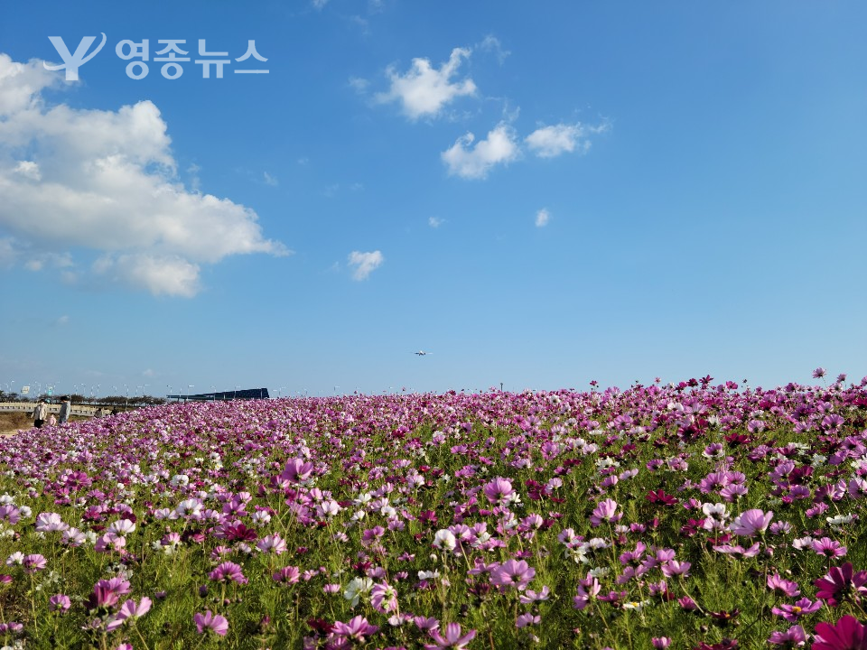 인천공항, 하늘정원 전경