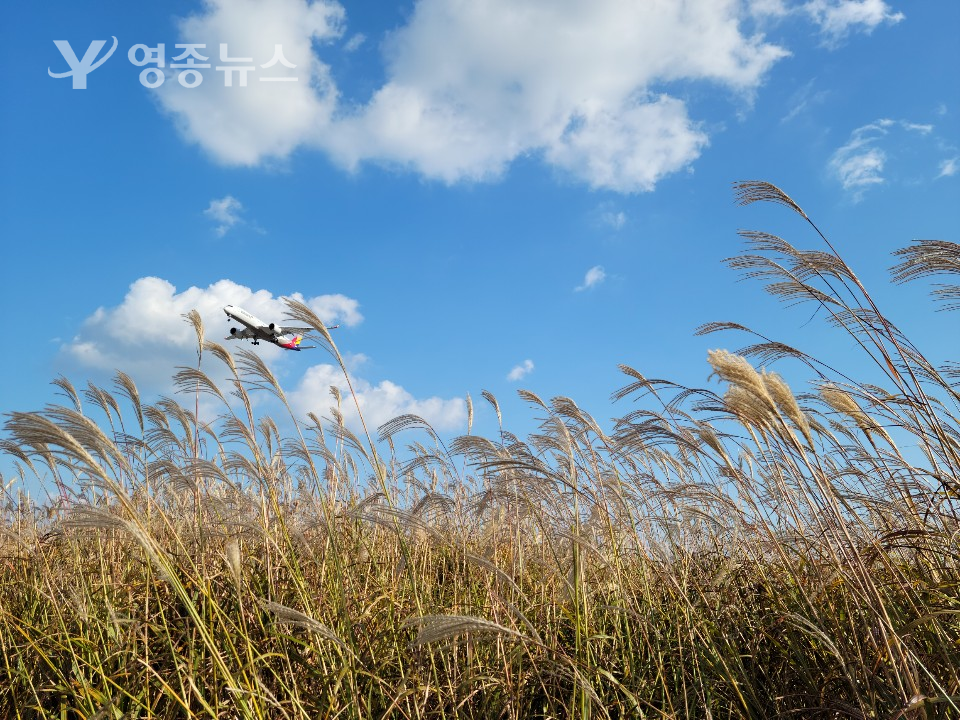 인천공항, 하늘정원 전경