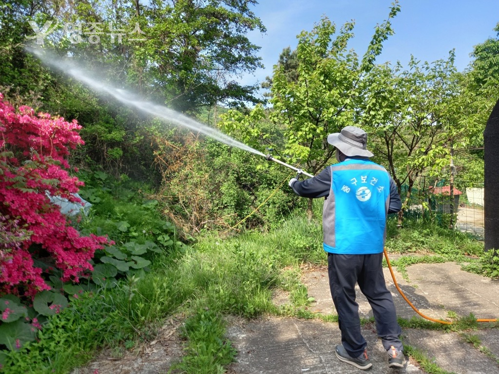 인천 중구, 여름철 감염병 예방 집중 방역 활동 실시